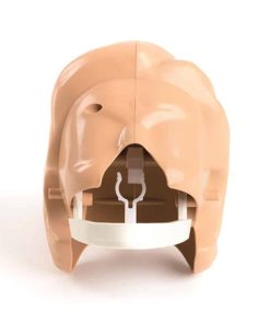 Huvud till Little Anne – 1 st